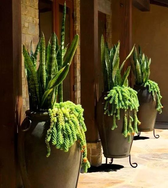 可移动的花园-8