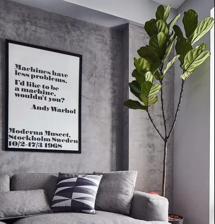 绿植搭配室内设计，打造自然家居之美-16