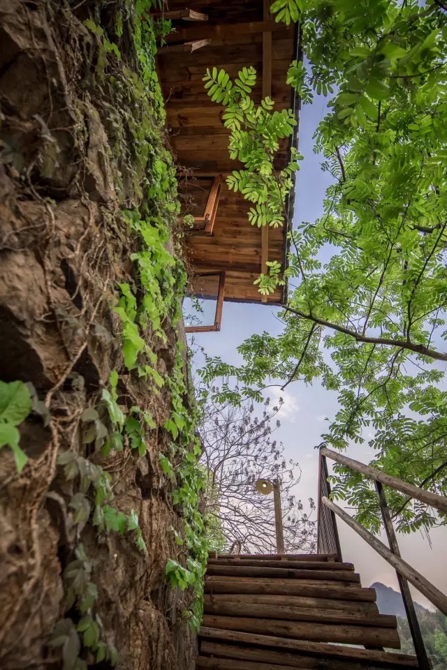 设计酒店  墟里贰号-23