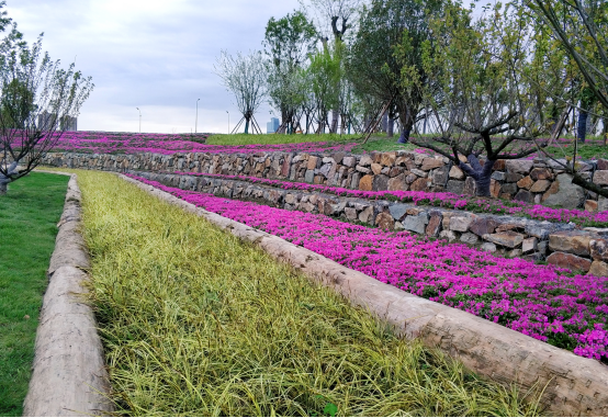 钱江世纪城机场路（金鸡路·杭甬铁路段）景观提升项目设计丨中国杭州-37