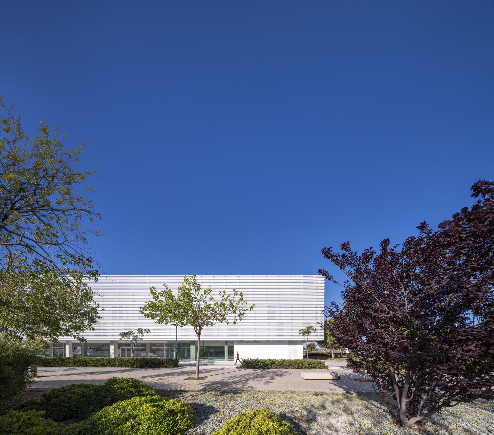 Municipal Sports Pavilion of San Vicente del Raspeig / MCEA | Arquitectura + NAOS 04 ARQUITECTOS-15