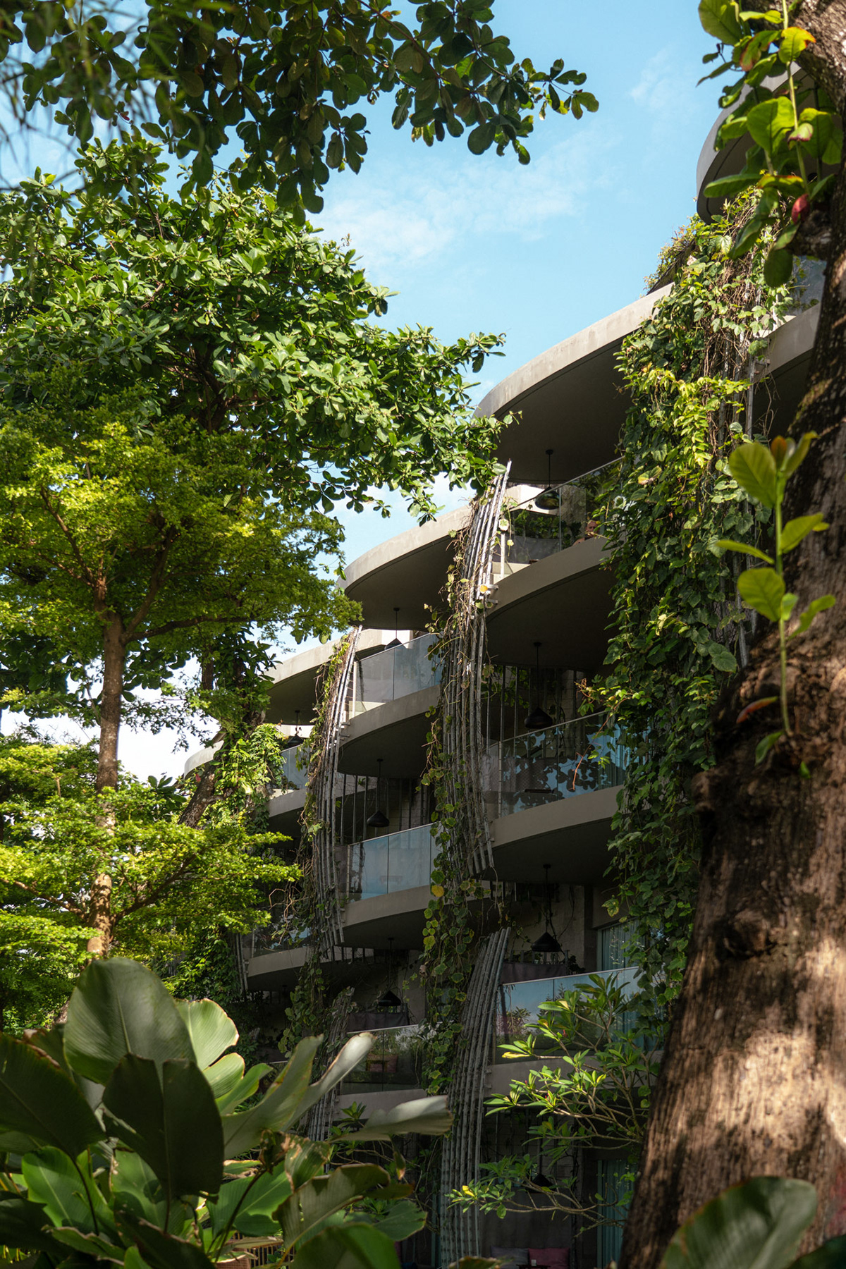 巴厘岛玛雅沙努尔度假酒店丨印度丨Kris Provoost-13