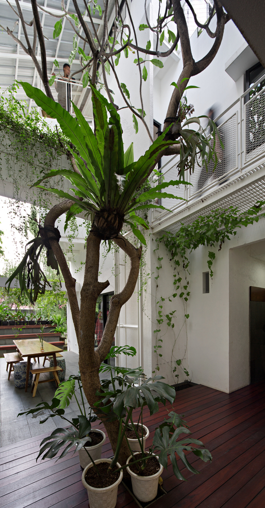 生长住宅 · 鲁马·格邦的互动生活空间-79