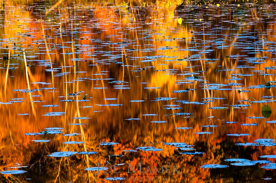 丨日本福冈丨Steven Holl-10