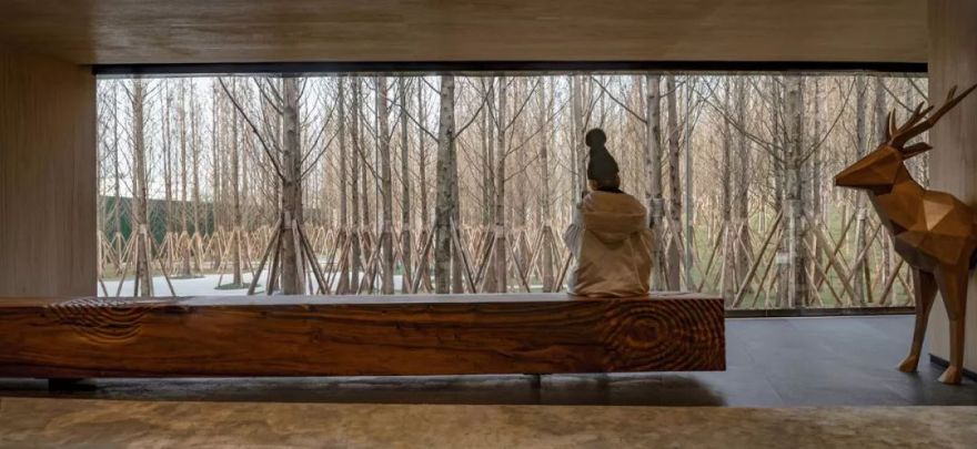 “重庆森林” | 重庆万科森林公园-23