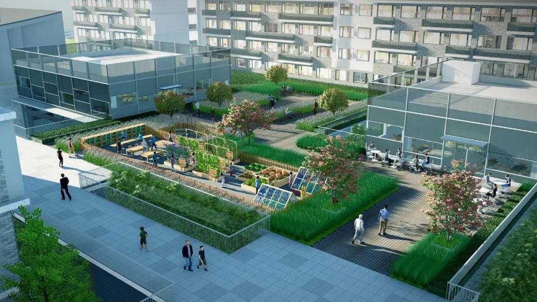 华师大附属无锡滨湖学校丨中国无锡丨MYP迈柏-60