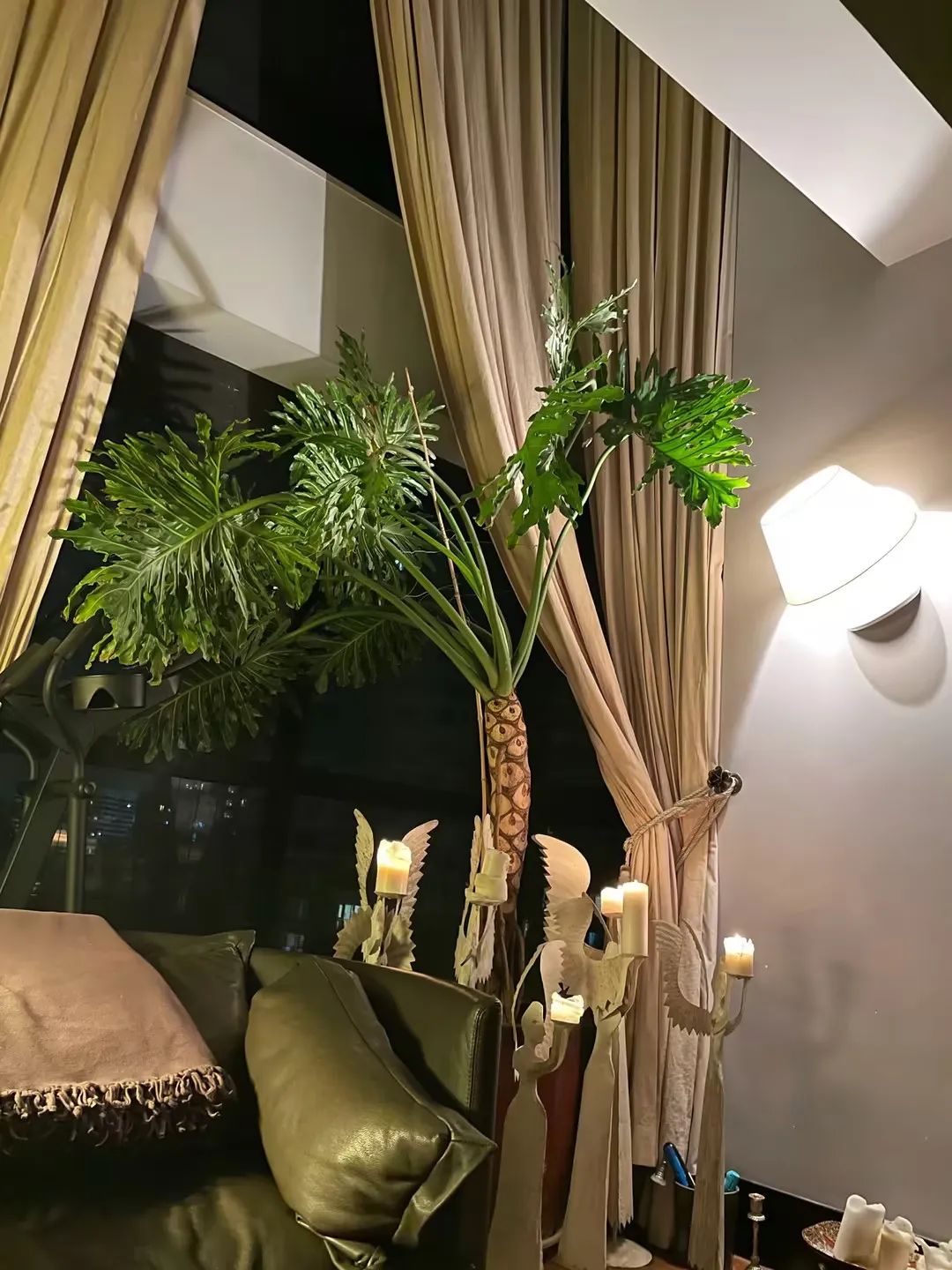 45岁殷桃的北京豪宅火出圈，院子里种满果树、鲜花，简直世外桃源。-8