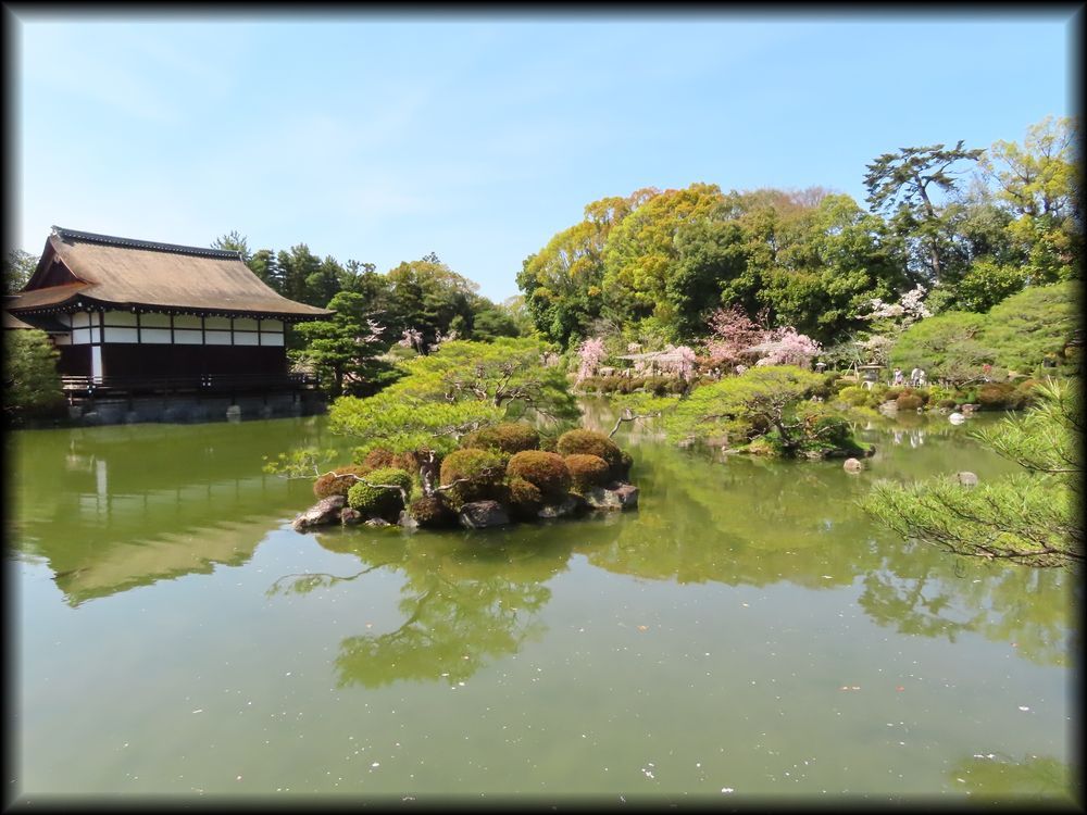 平安神宮の桜相关景观丨日本京都-19