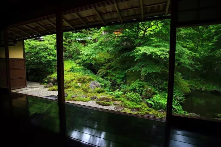 庭院满青苔,极美!-76