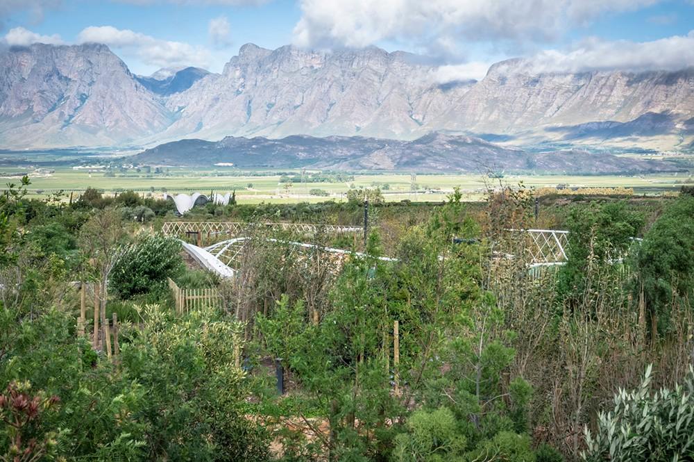 环形步道,南非花园咖啡店-11
