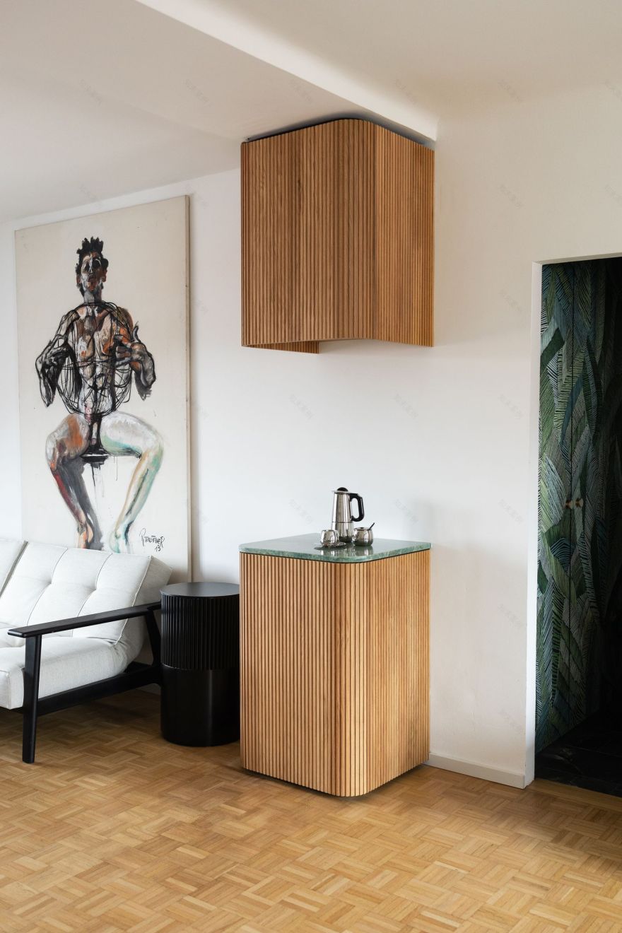 维也纳55平公寓改造丨奥地利维也纳丨Andreea Cebuc(C'est Design工作室)-14