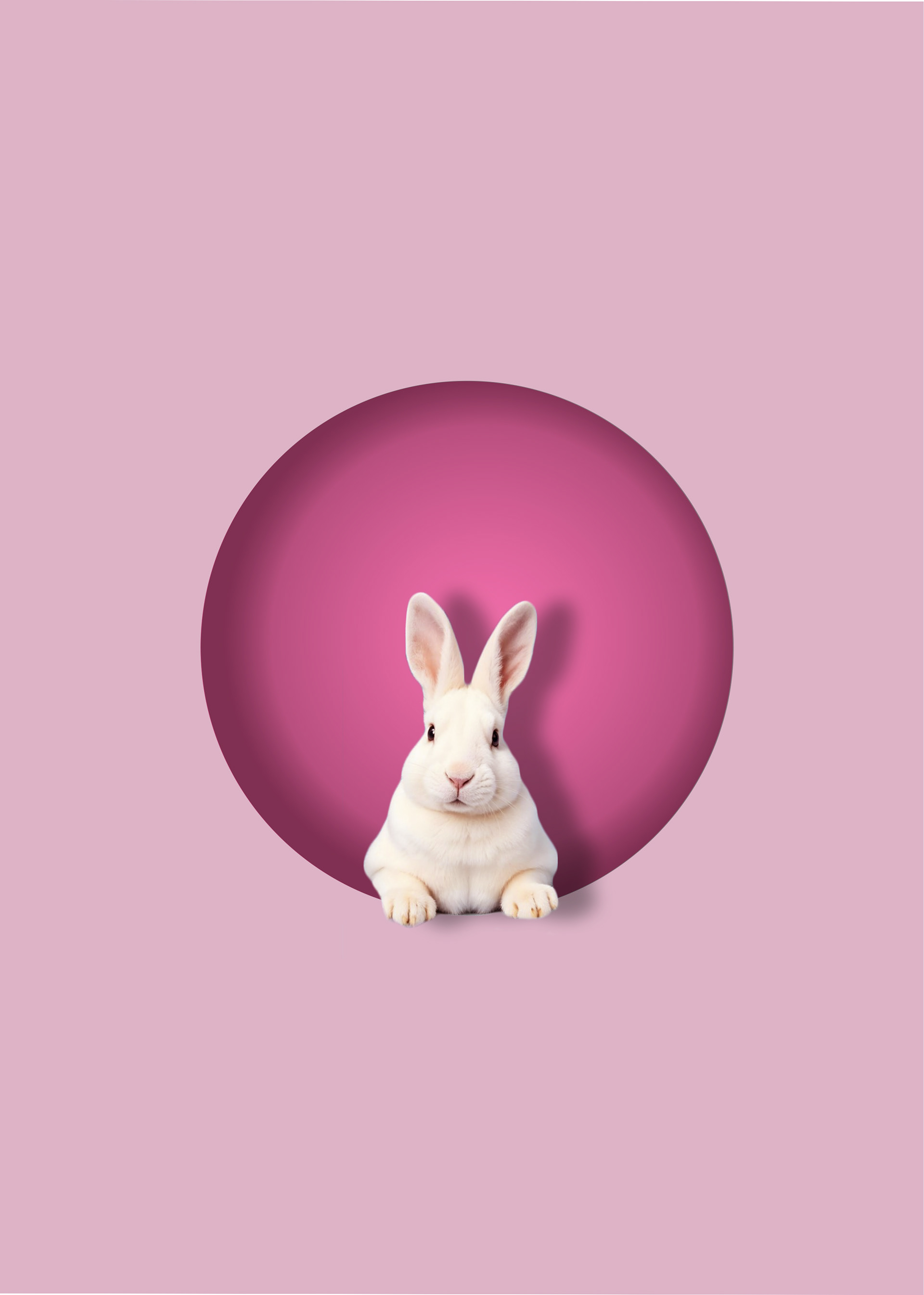 Echoes of the Heart: Healing Center P2-29