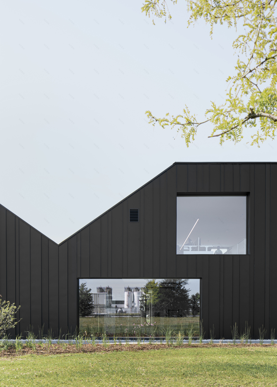 Ineos Geel 办公大楼丨比利时丨wilma wastiau-20