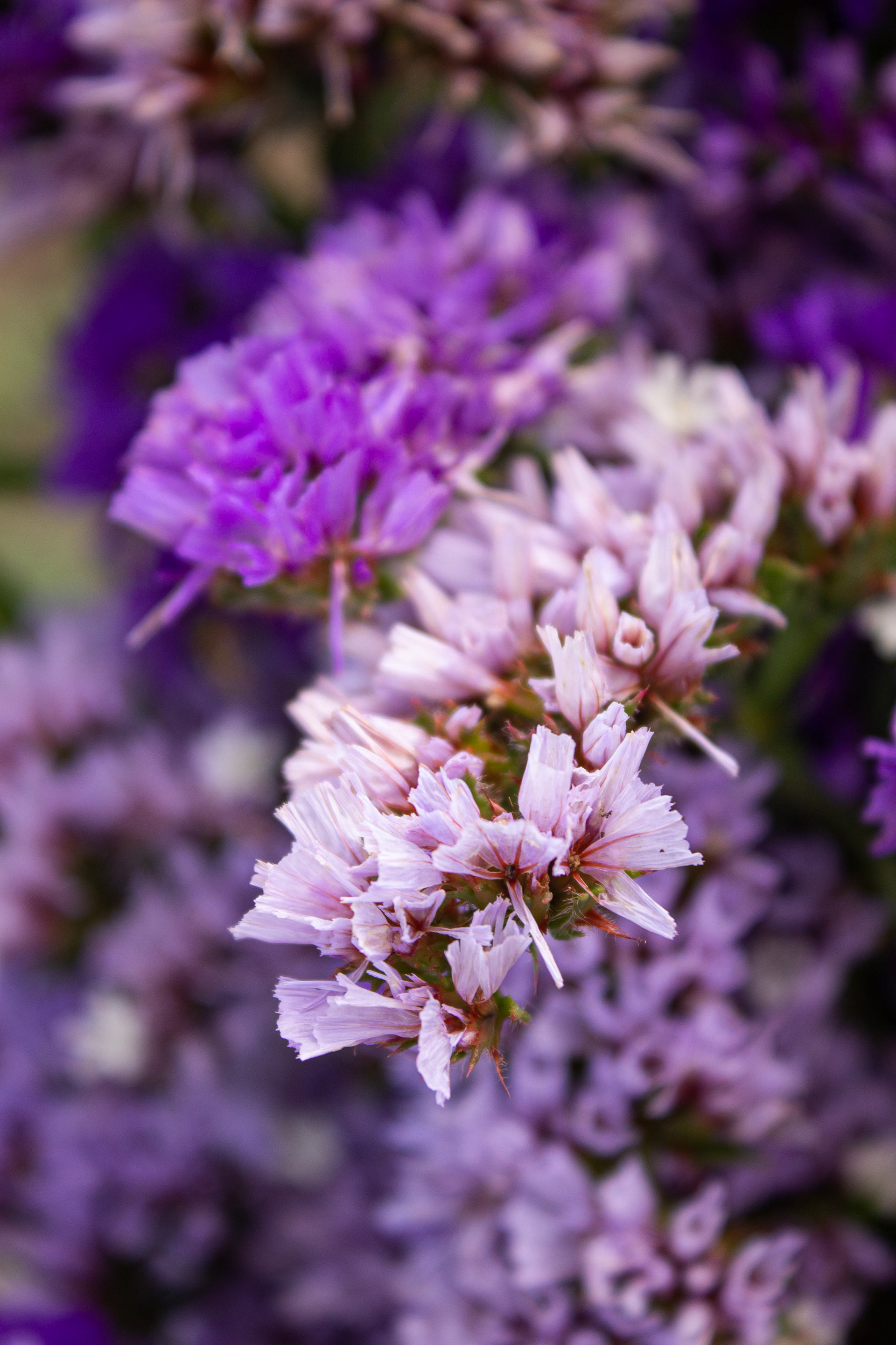 Portefólio-20