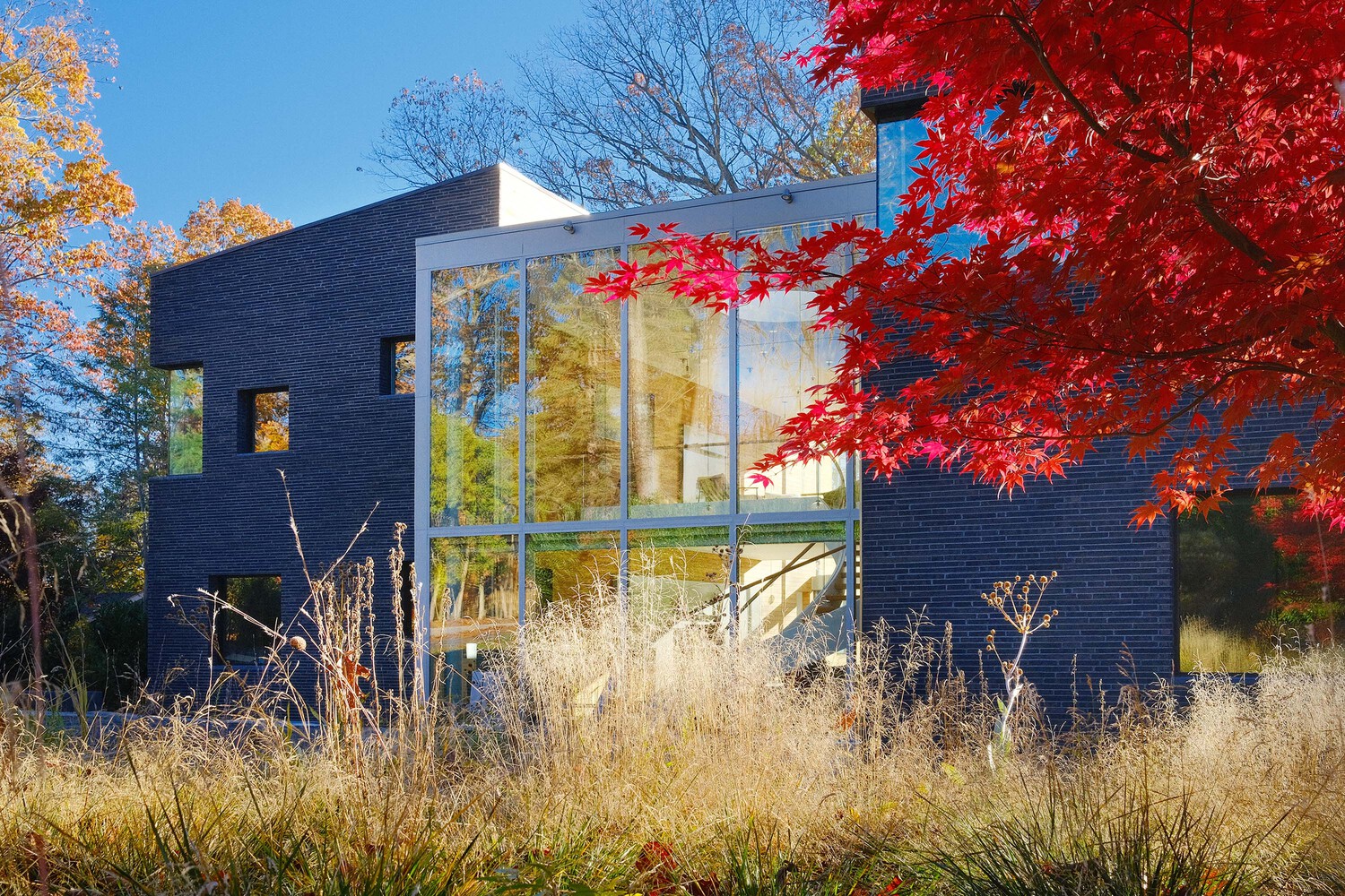 美国普林斯顿 La Clairiere 住宅丨Studio PHH Architects-35