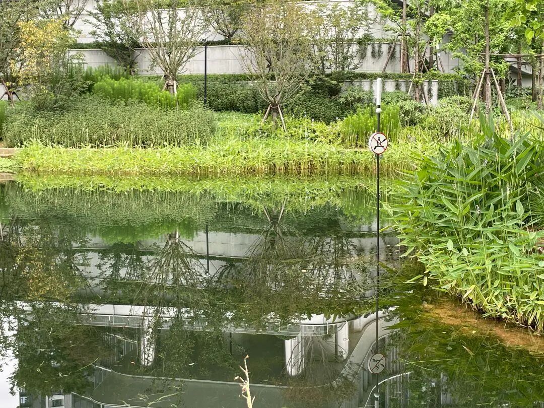 西里丨成都万华麓湖生态城·沄洲-19