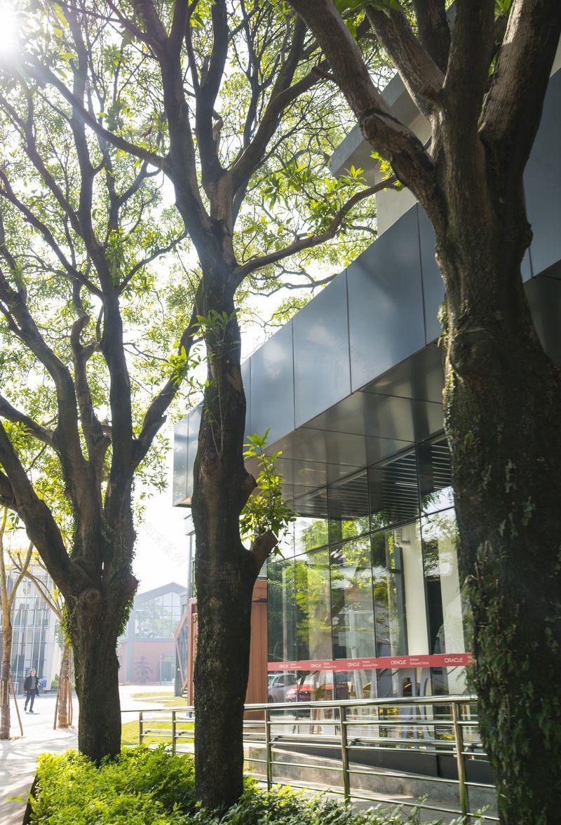 福建漳州甲骨文双创园区-17