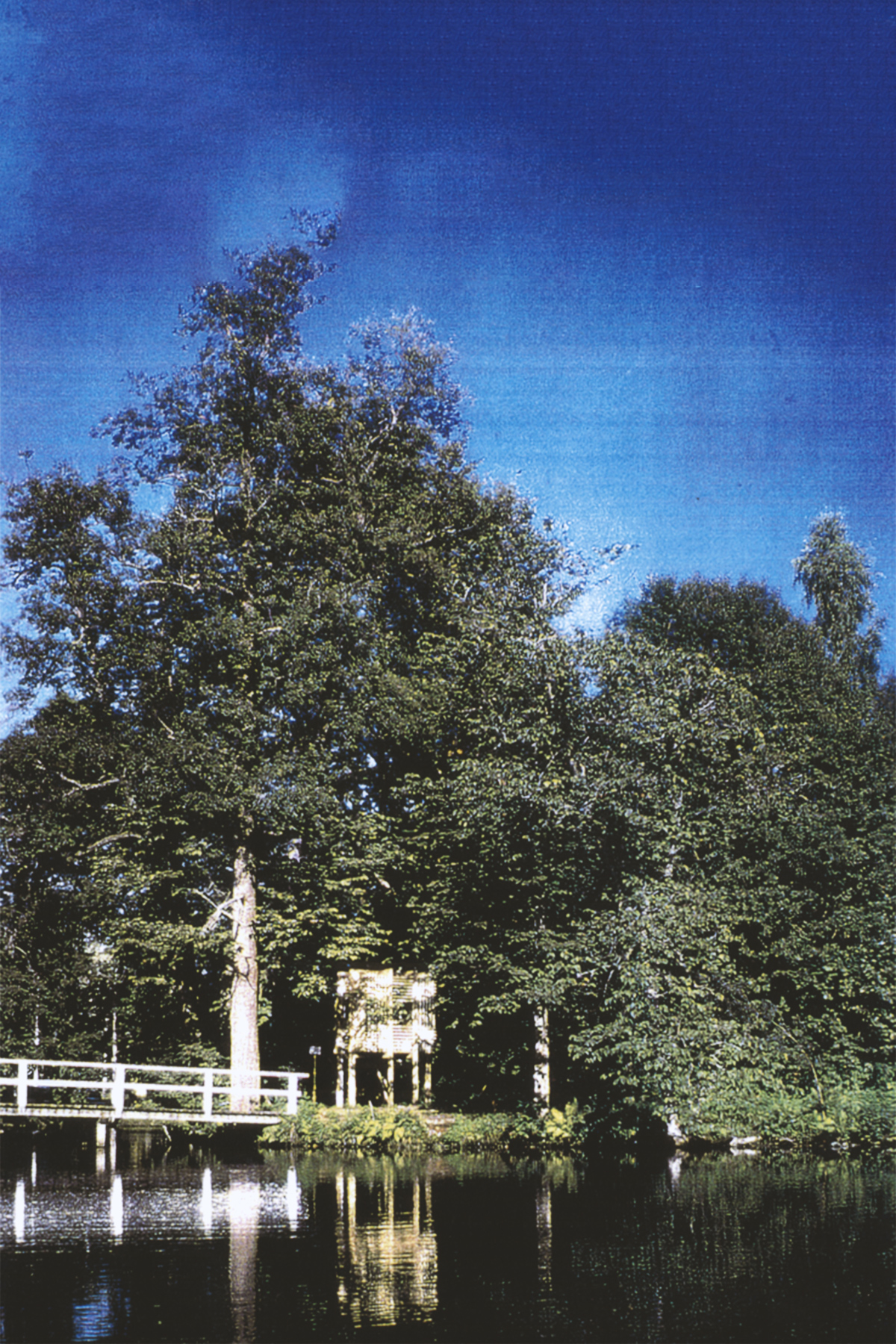 木制的荒唐建筑丨芬兰丨Rintala Eggertsson Architects-16