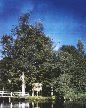 木制的荒唐建筑丨芬兰丨Rintala Eggertsson Architects