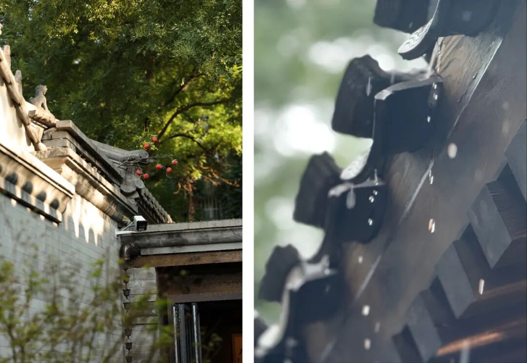 【AT】弘石设计新作丨北京法源寺西砖胡同改造——触温集-28