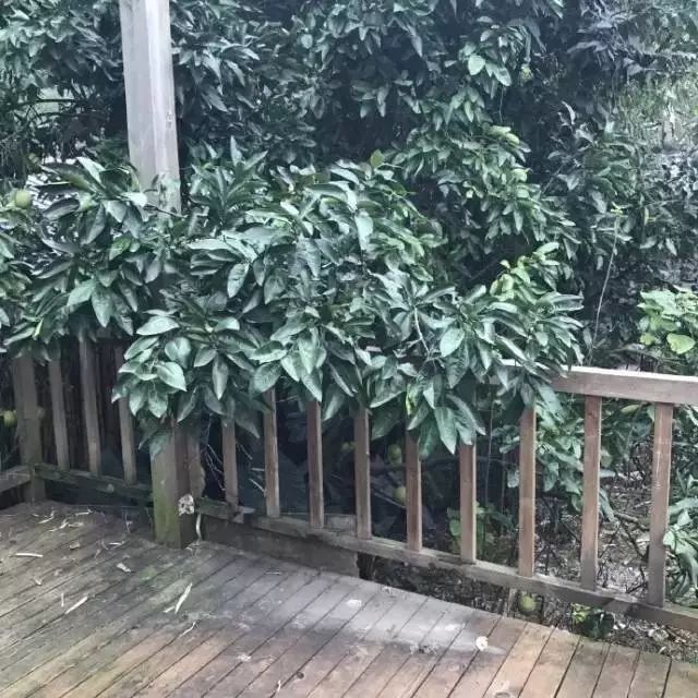 Color Case/90后帅小伙儿仅花3千爆改出租屋后-29