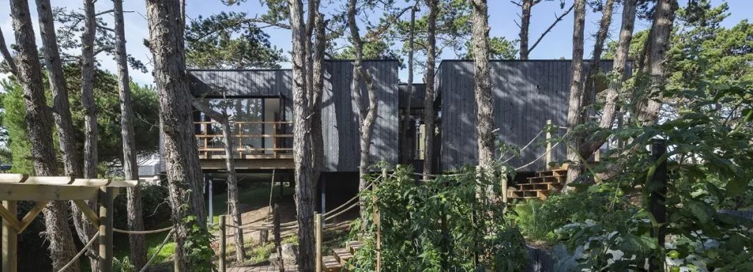 乡村松树树屋，与自然共生的设计奇迹-2