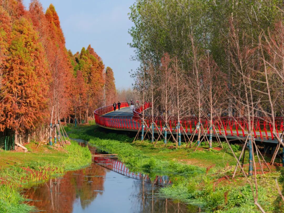 【中规作品】春城新画卷——滇池绿道之春日请柬-56