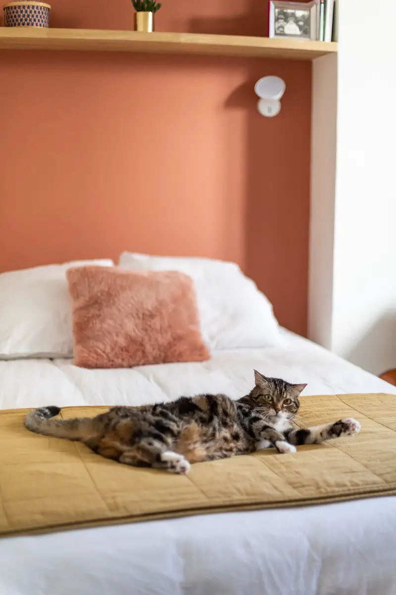 巴黎 50m²公寓的完美翻新 | 充满巴黎魅力的宜居空间-13