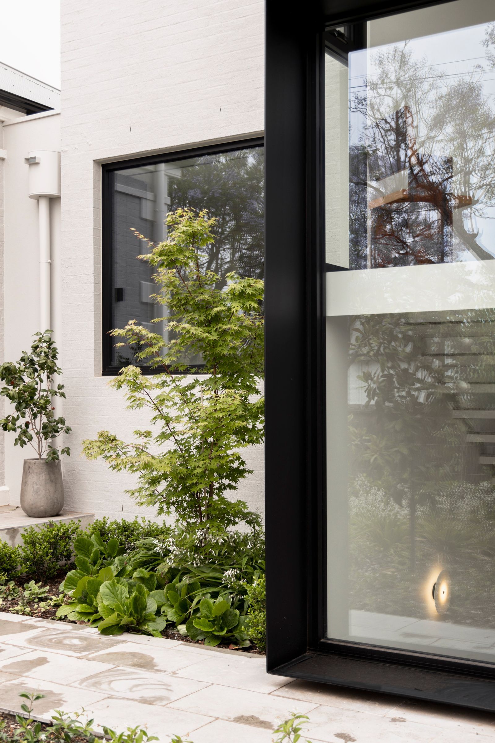 阿德莱德带泳池花园的家庭住宅改造丨澳大利亚阿德莱德丨Williams Burton Leopardi-32