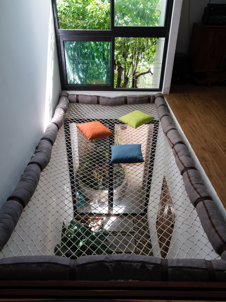 越南三代人记忆中的绿色家园-47