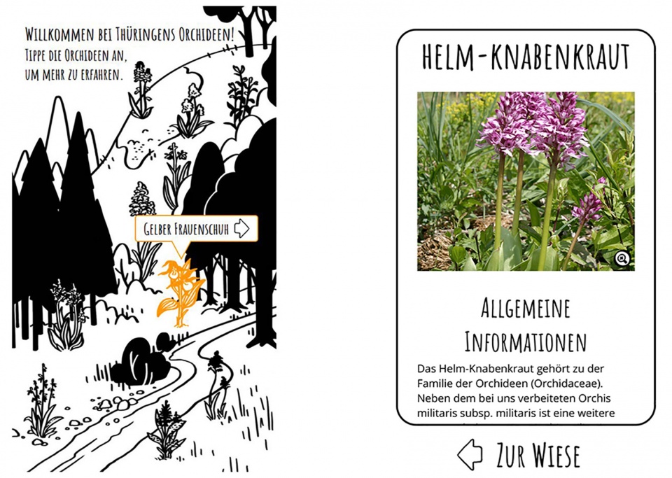 埃尔福特艾格公园知识森林丨德国丨德国雷瓦德景观建筑事务所-122