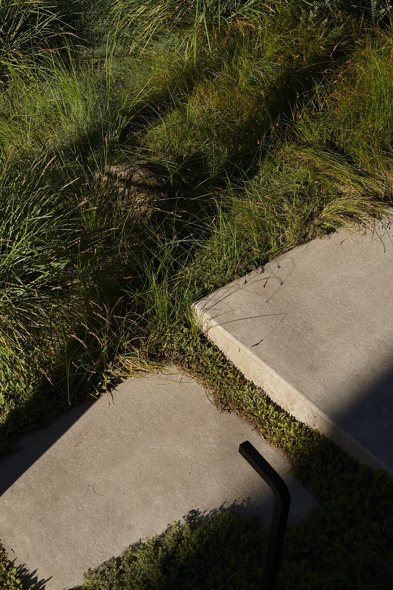 大型测试·大型狩猎之旅丨美国-15