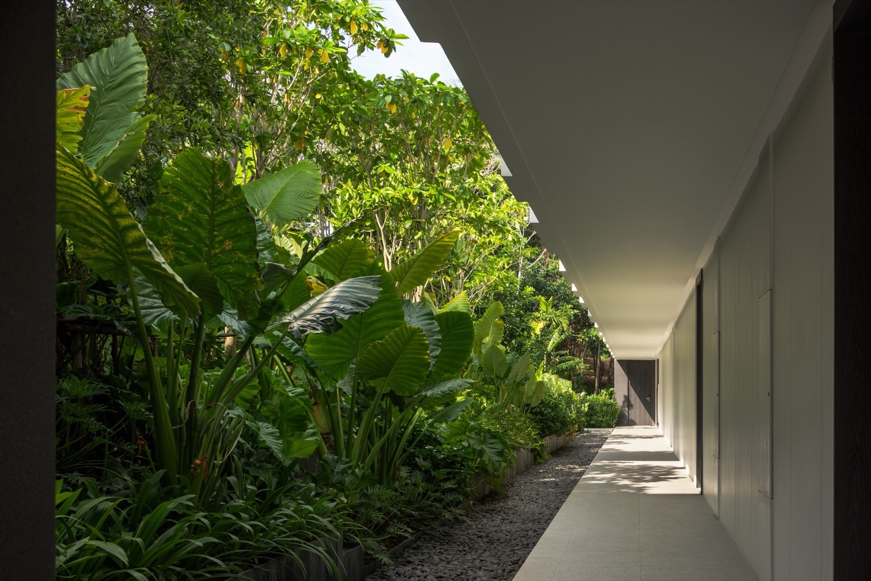 Villa Zai普吉岛丨泰国普吉丨IDIN Architects-25