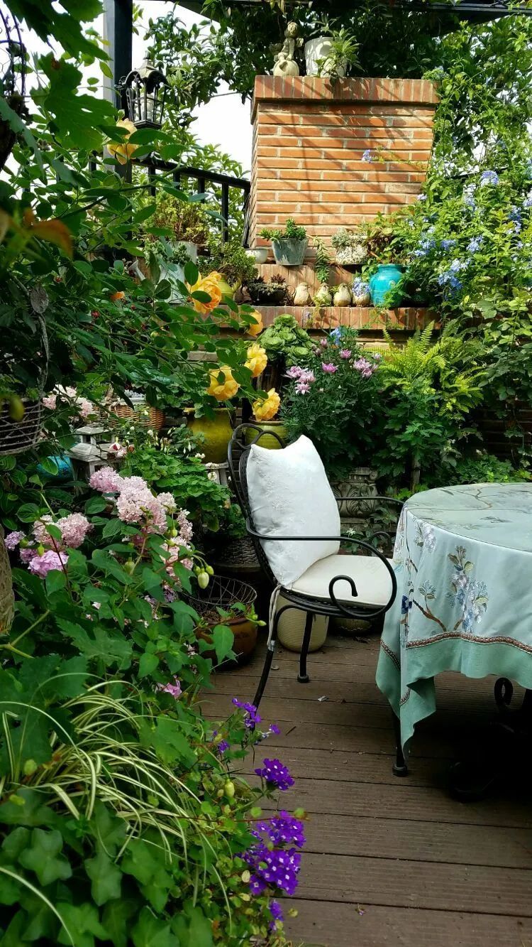 拥有一个这样的小院,人生足矣!-32