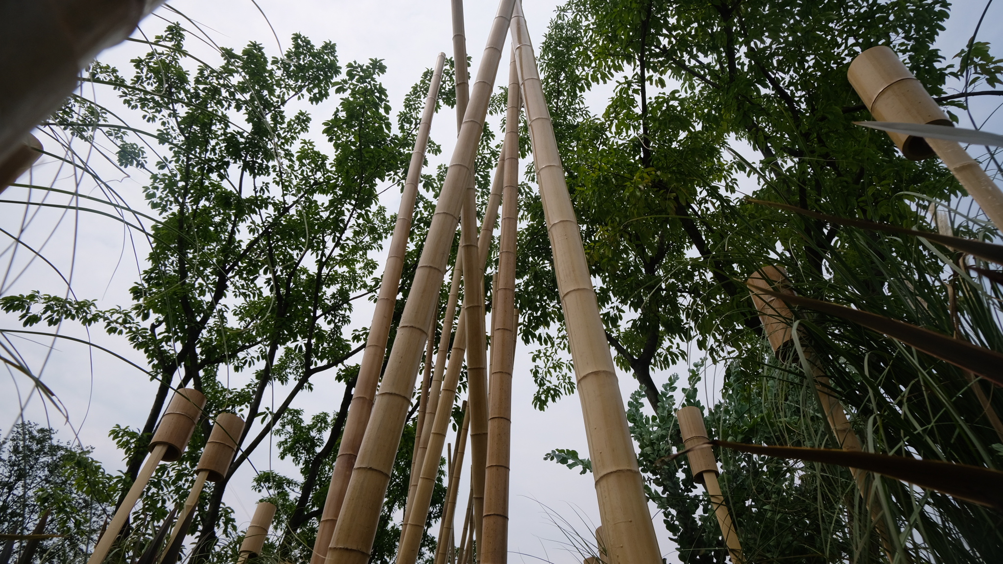 竹林丨中国成都丨Atelier Folie（北林风景建筑研究中心）-21