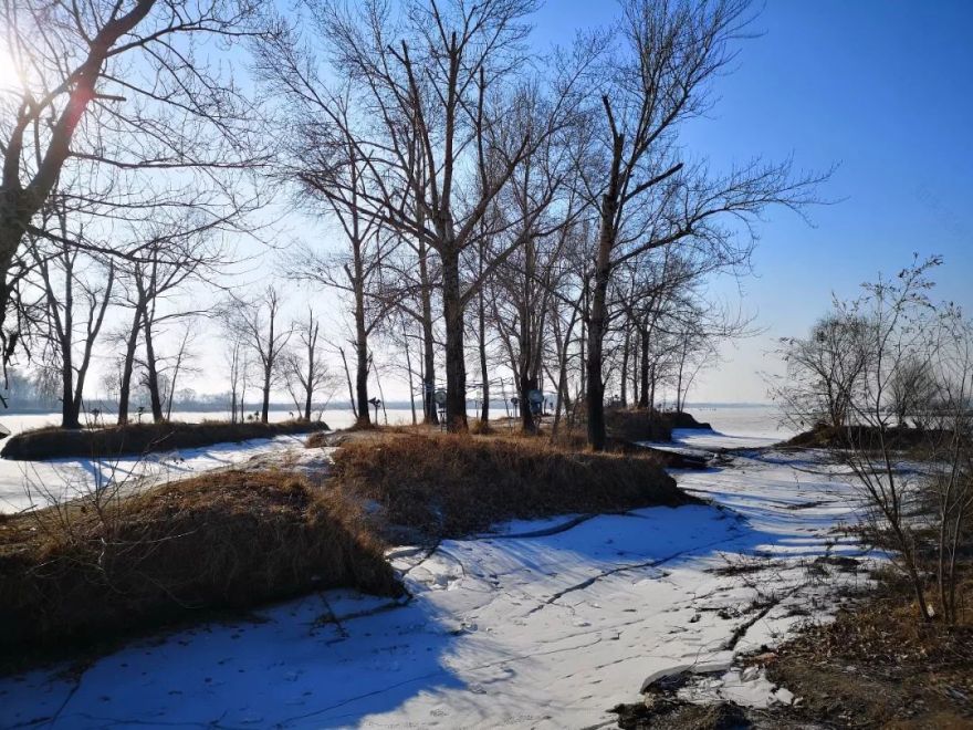 曼图设计 | 2018 年的成长与收获-292