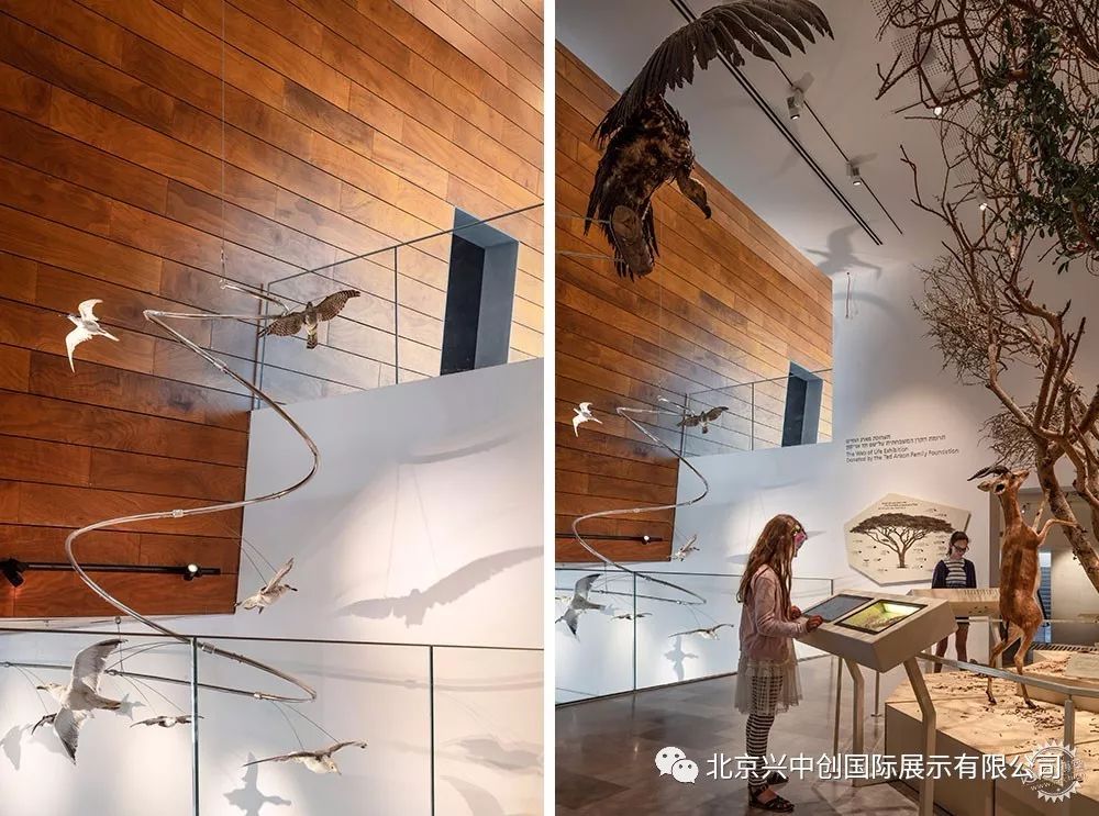 奇特的外立面中暗藏展品，这座博物馆处处充满惊喜-11