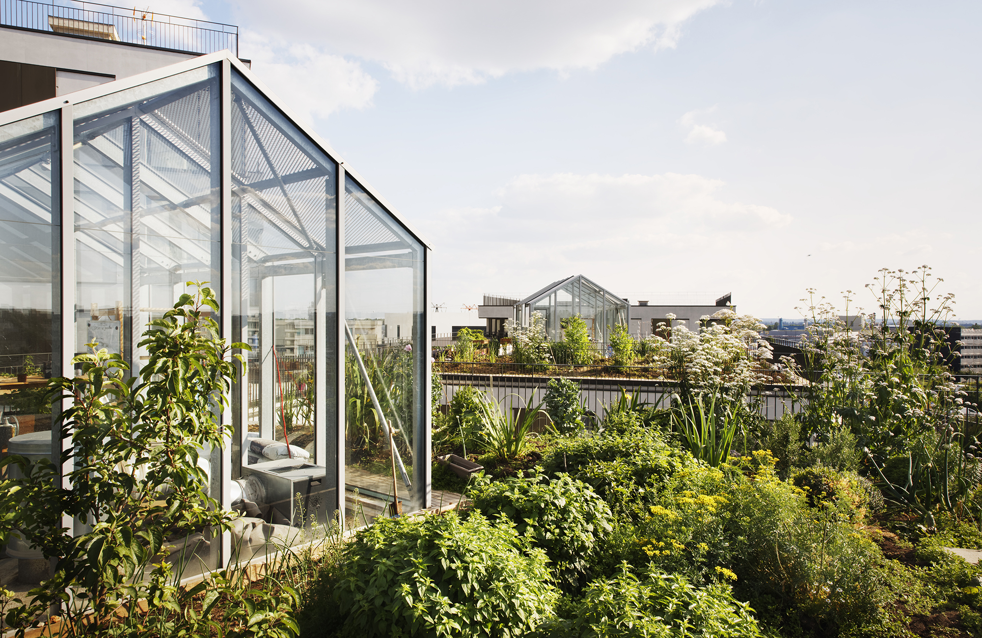 Logements rue des Meuniers-10