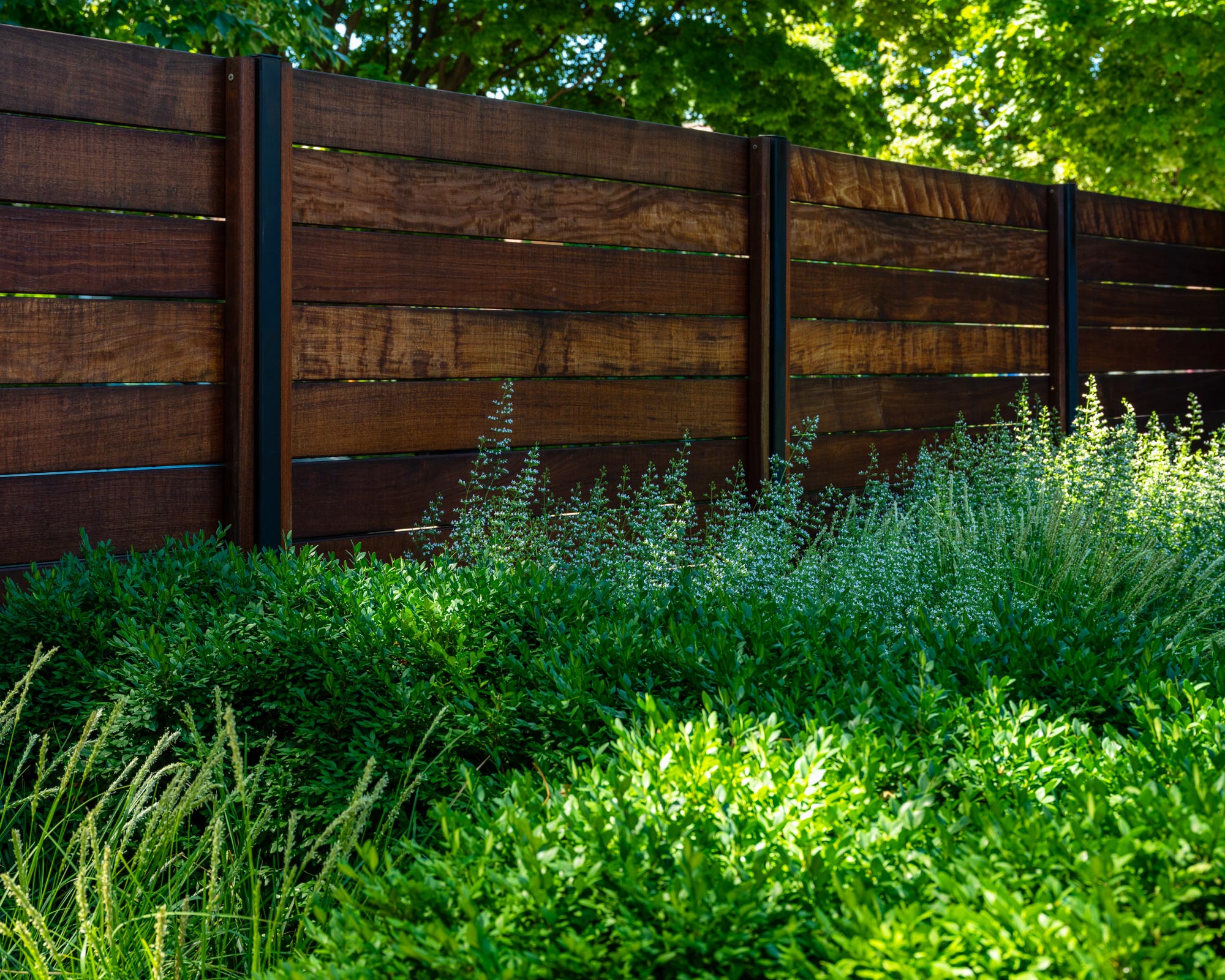 丨美国芝加哥-2