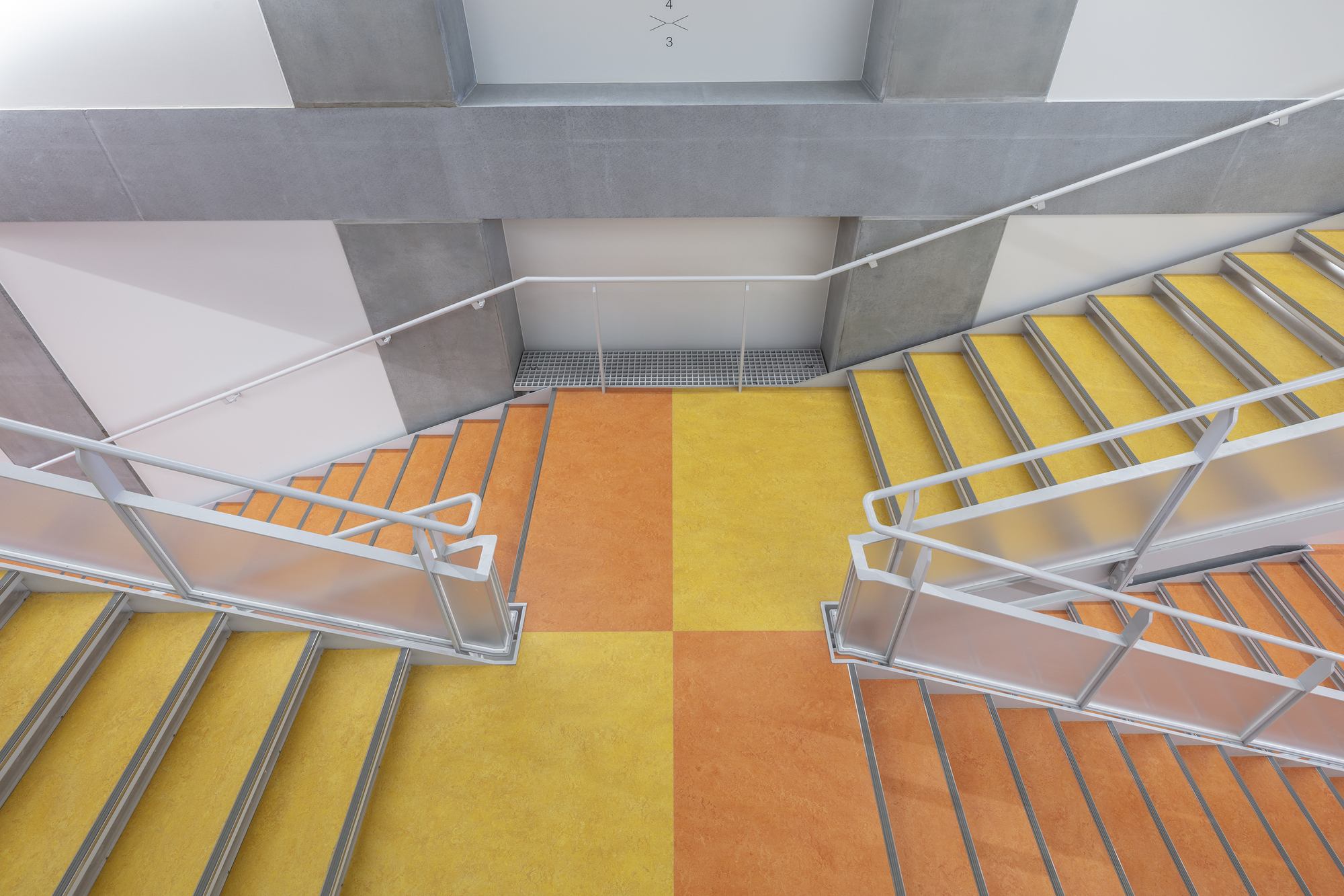 田畑初中丨日本东京丨Coelacanth K&H Architects-37