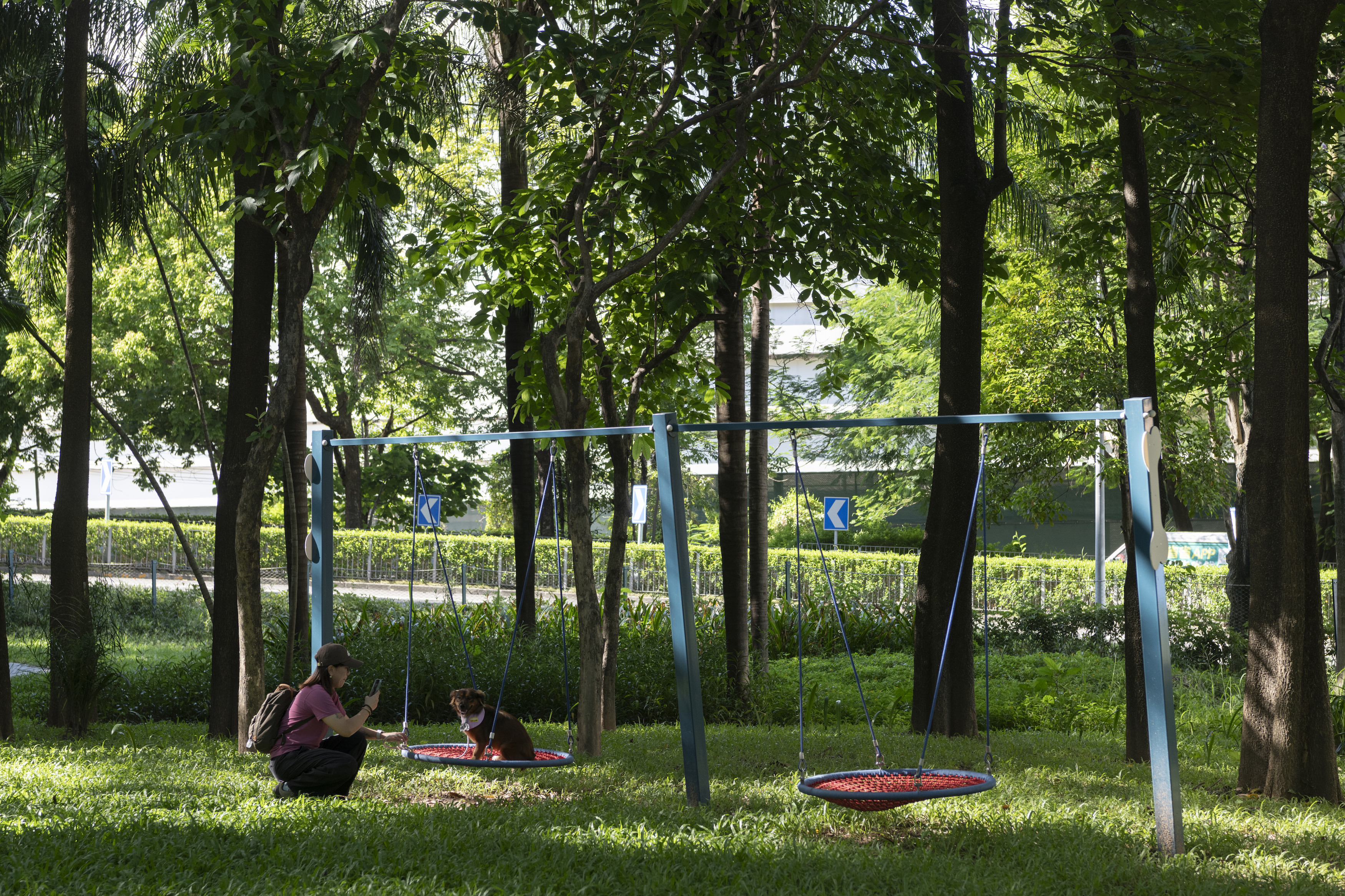 深圳市罗湖泥岗东路宠物友好口袋公园丨中国深圳丨深圳市未名设计顾问有限公司罗湖分公司（WMLA）-62