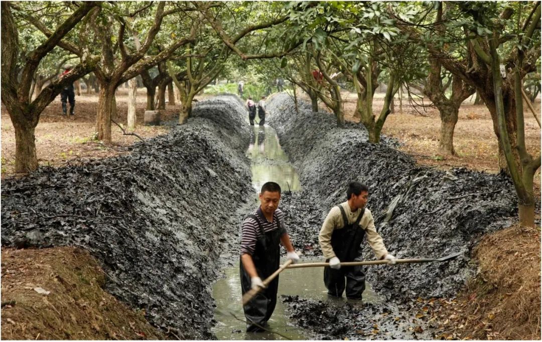 海珠湿地生物多样性保护修复工程丨中国广州丨广州市城市规划勘测设计研究院-52