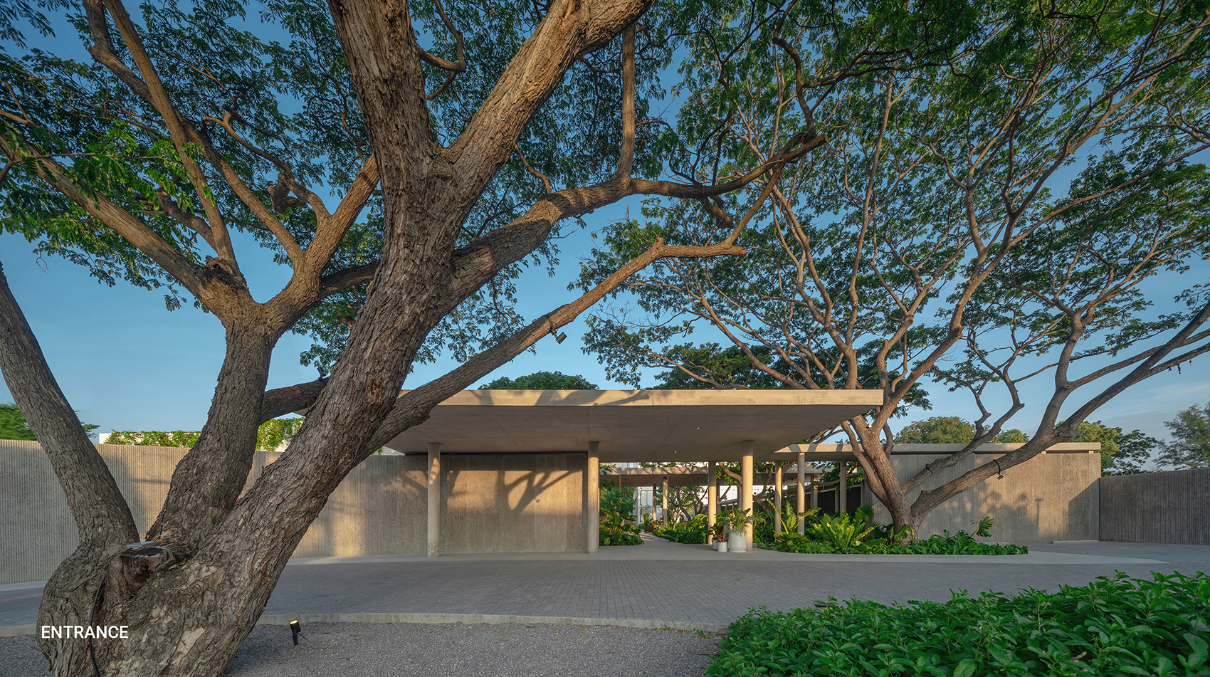 The Standard 度假区景观设计丨泰国丨Shma-16