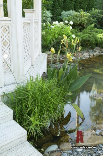 景观设计:小型地块的古典风格花园丨IL NATURE-21