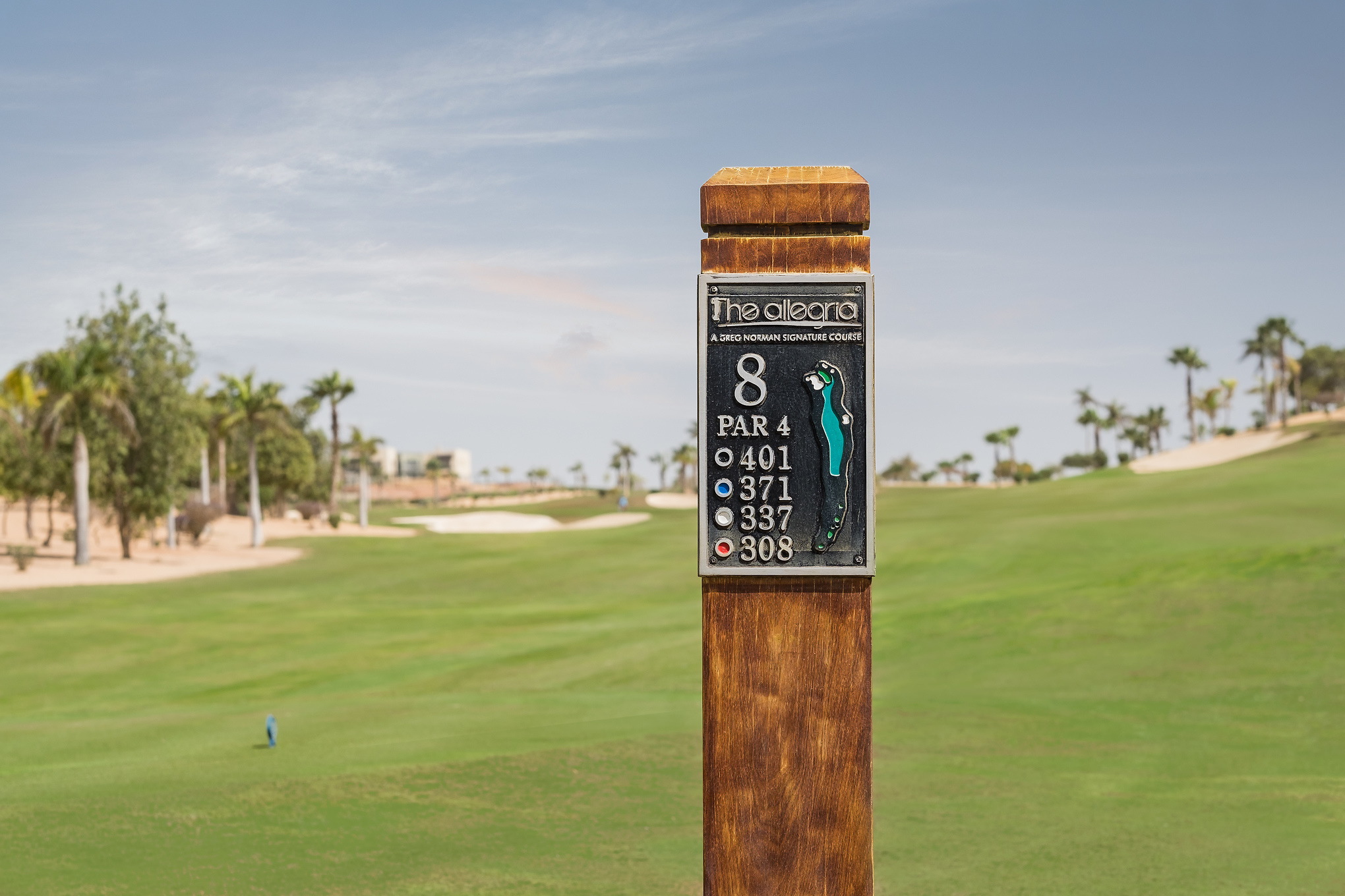 欢乐别墅区 | Sodic | 2018 | 埃及-2