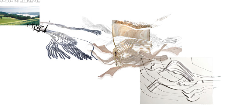 德国雷豪市生物多样性中心设计丨Miralles Tagliabue EMBT-36