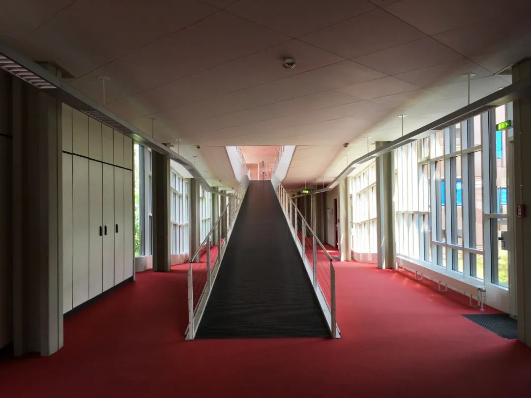 自由生长 | 柏林自由大学建筑解读-0