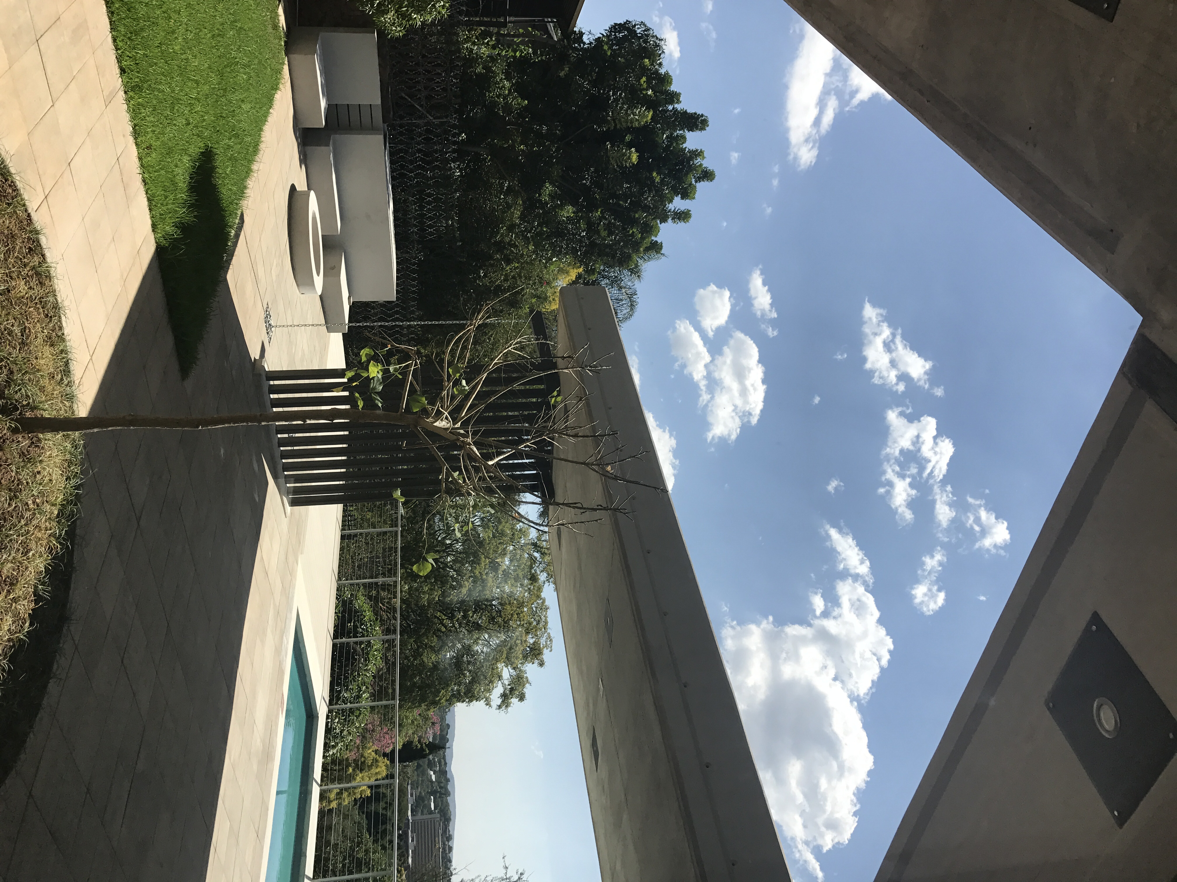 南非绿意盎然的家——Mellet & Human Architects 打造三层别墅-8