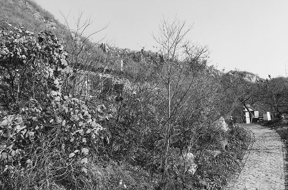 满栗台丨中国北京丨神奇建筑研究室-23