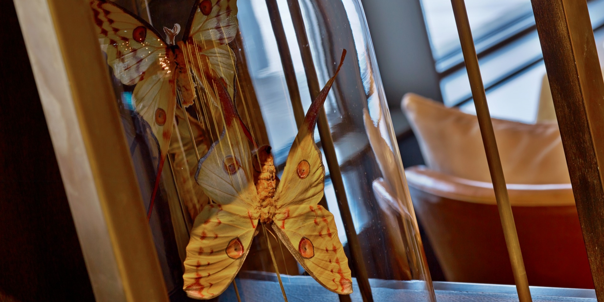 Il Lago Dei Cigni Restaurant, St. Petersburg-5